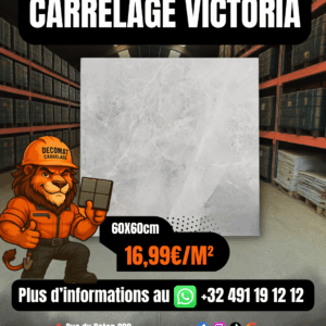 Carrelage Victoria 60x60 cm – 16,99€/m²