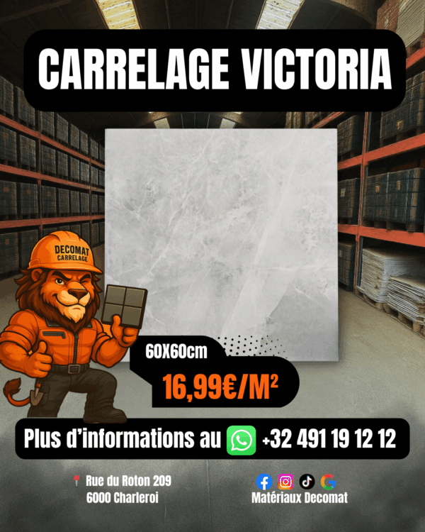 Carrelage Victoria 60x60 cm – 16,99€/m²