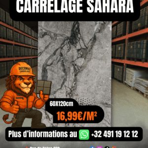 Carrelage Sahara 60x120 cm – 16,99€/m²