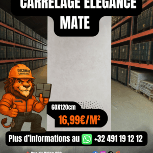 Carrelage Élégance Mate 60x120 cm – 16,99€/m²