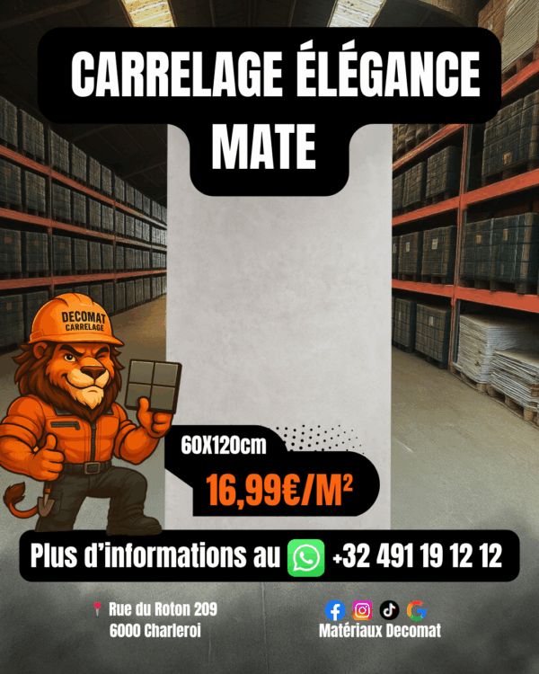 Carrelage Élégance Mate 60x120 cm – 16,99€/m²