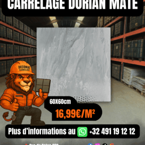 Carrelage Dorian Mate 60x60 cm – 16,99€/m²