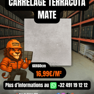 Carrelage Terracota Mate 60x60 cm – 16,99€/m²