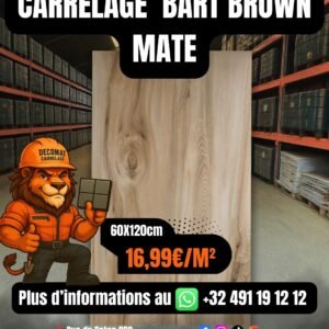 Carrelage Bart Brown Mate effet parquet  60x120 cm – 16,99€/m²