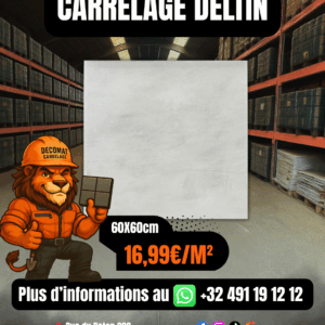 Carrelage Deltin 60x60 cm – 16,99€/m²