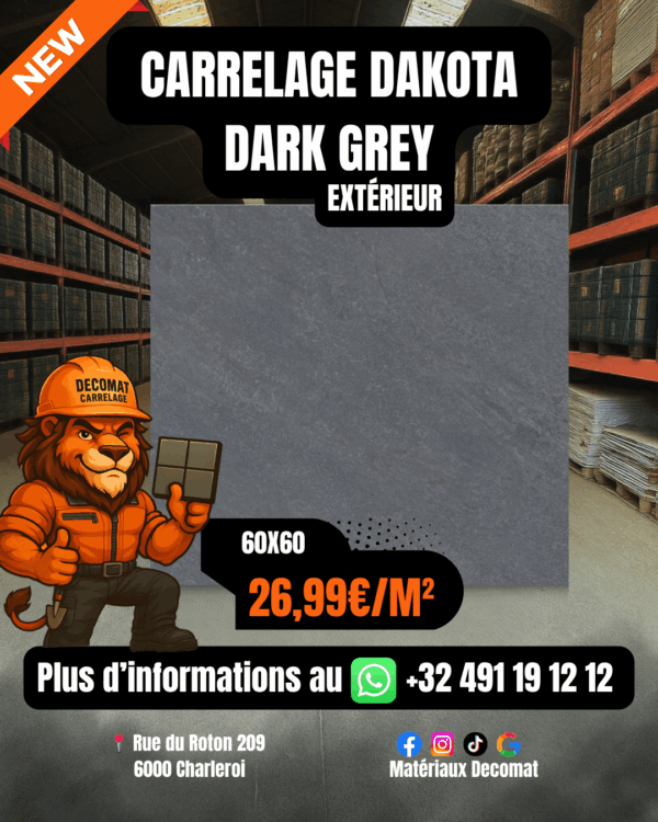 Carrelage Dakota Dark Grey Extérieur 60x60 cm – 26,99€/m²