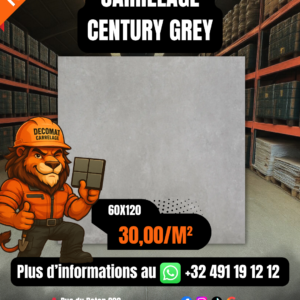 CARRELAGE CENTURY GREY 60 X120 CM – 30,00€