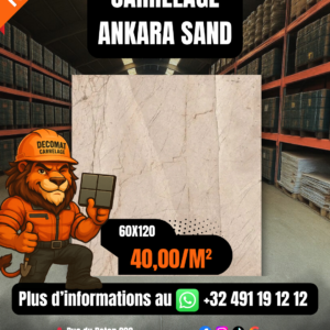 CARRELAGE ANKARA SAND 60X120 CM – 40,00€