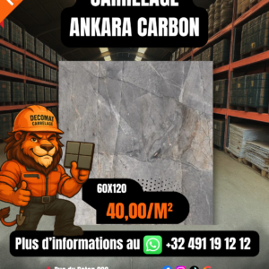 CARRELAGE ANKARA CARBON 60X120 CM – 40,00€