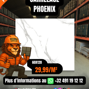 CARRELAGE PHOENIX 60X120 CM – 29,99€