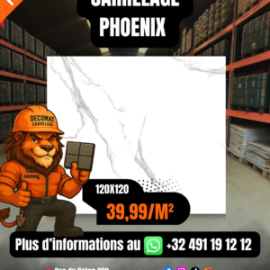 CARRELAGE PHOENIX 120X120CM – 39,99€