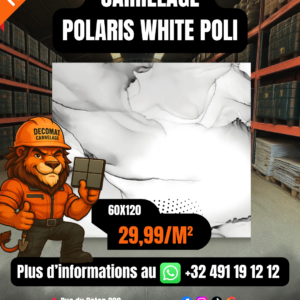 CARRELAGE POLARIS WHITE POLI 60X120CM – 29,99€