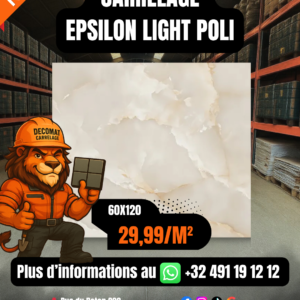 CARRELAGE EPSILON LIGHT POLI 60X120 CM – 29,99€