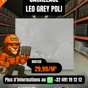 CARRELAGE LEO GREY POLI 60X120 CM – 29,99€