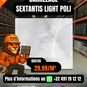 CARRELAGE  SEXTANTIS LIGHT POLI 60X120 CM – 29,99€